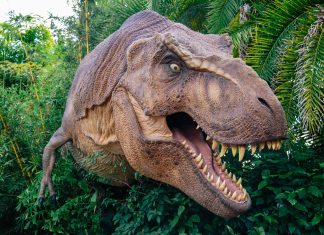 Vom Ei zur Ur-Echse: Eine Show mit Dinosauriern. Foto: Veranstalter