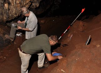 Höhlengrabung in der Cueva de Ardales in Malaga. Foto: Neanderthal Museum