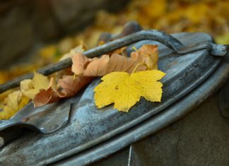 Die städtische Grünabfallannahme an den Außenstellen wird bis zum 1. Dezember verlängert. Foto: Symbolbild, pixabay
