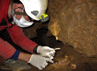 Bei Grabungen in der Hagener Blättenhöhlen haben Forscher bedeutsame Funde gemacht. Foto: Neanderthal Museum