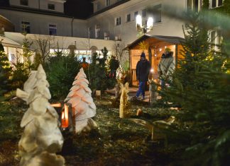 Der Weihnachtswald wird vom Rathausinnhof auf den Vorplatz verlegt. Archivfoto: Mathias Kehren