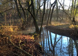 Der Sauerländische Gebirgsverein bietet im Dezember Wanderungen zum Naturschutzzentrum Bruchhausen und nach Dortmund an. Foto: Sabine Drasnin