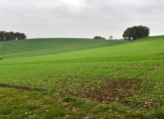 An der Langenberger Straße in Velbert plant die Stadt ein neues Industriegebiet. Foto: Mathias Kehren