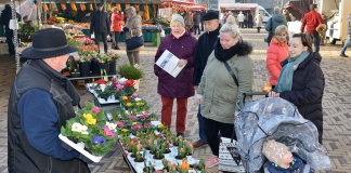 Schnittblumen und Topfpflanzen offeriert "Blumen-Pitt" auf dem Velberter Wochenmarkt. Foto: Mathias Kehren