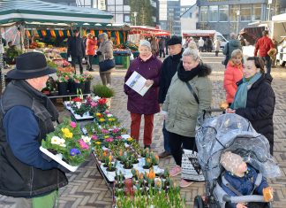 Schnittblumen und Topfpflanzen offeriert "Blumen-Pitt" auf dem Velberter Wochenmarkt. Foto: Mathias Kehren