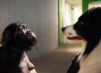 An jedem ersten Freitag im Monat findet im Neanderthal-Museum der "Doggy Day" statt. Foto: Neanderthal-Museum