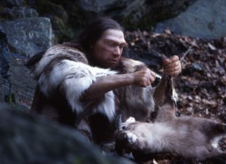 Das Neanderthal Museum kann während der Taschenlampenführung im Dunkeln entdeckt werden. Foto: Archiv