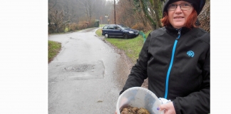 Die Kröten werden in Eimern gesammelt und von Helfern über die Straße gebracht. Foto: privat