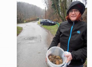 Die Kröten werden in Eimern gesammelt und von Helfern über die Straße gebracht. Foto: privat