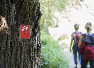 Der sauerländische Gebirgsverein unternimmt im Februar zwei Wanderungen. Foto: Archiv