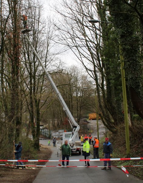 Mitglieder des Kleingartenvereins Erbacher Berg packen selbst mit an. Fünf Bäume mussten gefällt und Totholz aus Baumkronen entfernt werden.