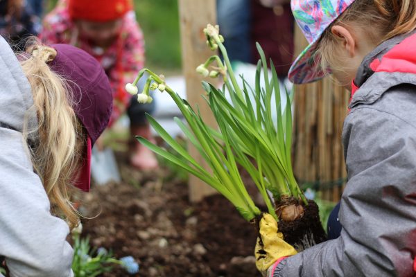 Sie sorgten für Farbe: Die "Stadtwaldkids" pflanzten bunte Blumen. Foto: André Volkmann