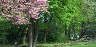 Stadtpark Wülfrath