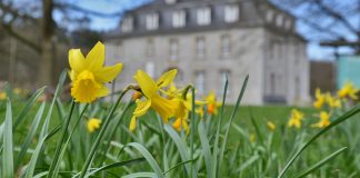 Der Park rund um Schloss Hardenberg soll neu gestaltet werden. Archivfoto: Mathias Kehren