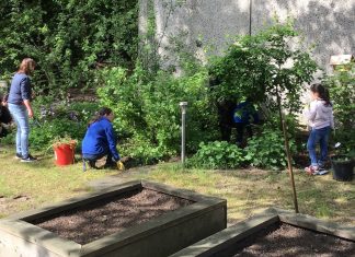 Lehrer, Eltern und Kinder haben die Außenanlagen der städtischen Gemeinschafts-Grundschule Herrenhauser Straße-Mettmann verschönert. Foto: GGS