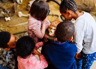 Kinder ab fünf Jahren können ihren Geburtstag im Neanderthal-Museum feiern. Foto: Neanderthal-Museum
