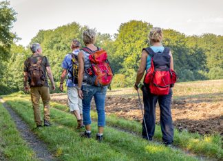 3. Neanderland-Wanderwoche: Bei einigen Wanderungen gibt es noch Restplätze. Symbolbild: Kreis ME