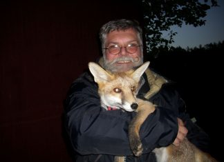 Experte Rolf Niggemeyer referiert über Fledermäuse, die auch in der Wülfrather Tierwelt heimisch sind. Foto: Privat