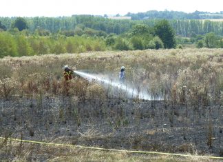 Im Jahr 2018 brannten an der Friedhofsallee rund 2.500 Quadratmeter Feld. Foto: Feuerwehr Heiligenhaus