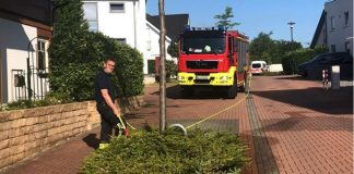 Auf dem Käthe-Kollwitz-Ring wässert Feuerwehrmann Paul Nerowski städtisches Grün. Foto: Feuerwehr Mettmann