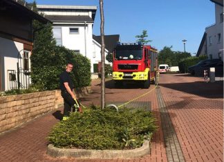 Auf dem Käthe-Kollwitz-Ring wässert Feuerwehrmann Paul Nerowski städtisches Grün. Foto: Feuerwehr Mettmann