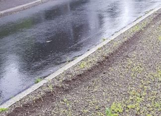 In der Siedlung Löffelbeck ist ein Auto durchs Beet gefahren. Mitarbeiter des Baubetriebshofs haben die Reifenspur fotografiert. Foto: Kreisstadt Mettmann
