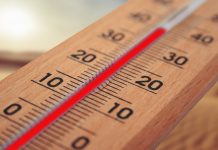 Ein Thermometer zeigt eine hohe Temperatur an. Foto: Symbolbild (pixabay)