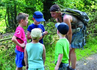 Die "Naturentdecker" bei einer Wald-Wanderung mit Kindern. Foto: Die Naturentdecker