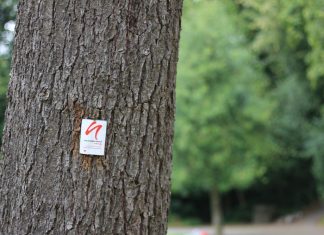 Der am Dienstag gesperrte Wanderweg wird am heutigen Donnerstagnachmittag wieder freigegeben. Symbolfoto: André Volkmann