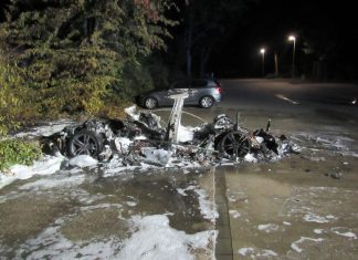 Die Flammen haben den Tesla vollständig zerstört. Foto: Polizei