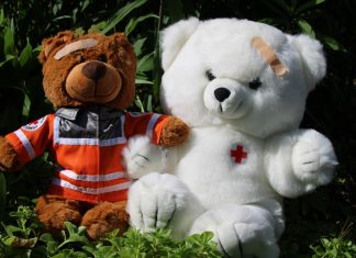 Für rund 30 Vorschulkinder und ihre Lieblingskuscheltiere öffnete das DRK die mobile Teddy-Klinik. Foto: DRK