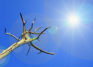 Temperaturen bis zu 40 Grad werden in dieser Woche in Nordrhein-Westfalen erwartet. Foto: Symbolbild (pixabay)