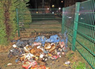 Der Wertstoffcontainer an der Kastanienallee ist vollständig zerstört worden. Foto: Polizei