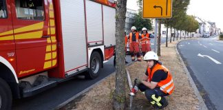 Aus dem Tank eines Löschfahrzeugs bewässert Unterbrandmeister Salih Haker einen Straßenbaum an der Rheinlandstraße. Foto: Feuerwehr Velbert