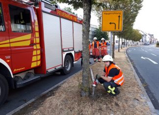 Aus dem Tank eines Löschfahrzeugs bewässert Unterbrandmeister Salih Haker einen Straßenbaum an der Rheinlandstraße. Foto: Feuerwehr Velbert