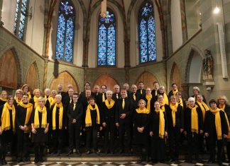 Die Chorsängerinnen und Chorsänger suchen Gaststimmen für eine Aufführung im November. Bildrechte: Chor