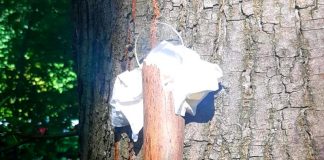 Diese an einem Baum befestigte Konstruktion hat eine Spaziergängerin entdeckt. Foto: Feuerwehr Wülfrath