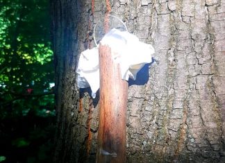 Diese an einem Baum befestigte Konstruktion hat eine Spaziergängerin entdeckt. Foto: Feuerwehr Wülfrath