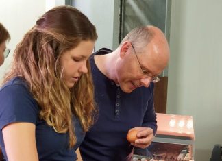Nadine Grünendahl erklärt Peter Beyer die Bedeutung der Kennzeichnung auf den Eiern. Foto: Büro Beyer