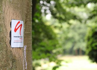 Der SGV bietet wieder Termine für Wanderausflüge an. Foto: André Volkmann