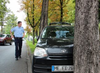 Mit diesem Daihatsu prallte der 72-Jährige gegen einen Baum. Foto: Polizei