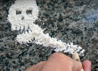 Kokain wird aus Blättern des Koka-Strauches gewonnen und durch chemische Prozesse verarbeitet: "Koks" oder "Schnee" nennt man die pulverisierte Form. Foto: pixabay