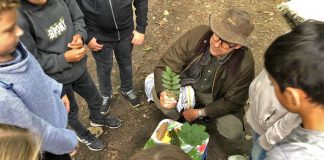 Gemeinsam mit den Kindern werden im Natur-Kurs anhand der Blätter die Baumarten bestimmt. Foto: Hegering