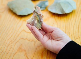 Laien können ihre Funde nicht immer korrekt einordnen - Experten helfen bei der Bestimmung. Foto: Neanderthal-Museum