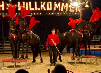 Der "Circus Antoni" gastiert in der Stadt. Foto: Circus Antoni