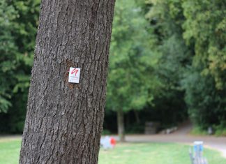 Der SGV bietet wieder Termine für Wanderausflüge an. Foto: André Volkmann