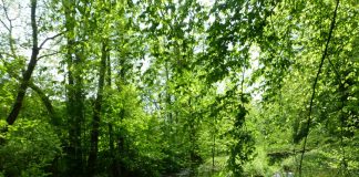 Für die Wanderung durch das Ittertal wird festes Schuhwerk empfohlen. Foto: Kreis ME
