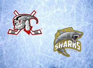 Die Sharks aus dem belgischen Mechelen sind zu Gast bei den Ice Aliens. Grafik: Ice Aliens
