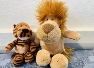 Ungewöhnliche "Patienten" im Kreisgesundheitsamt. Foto: Kreis ME