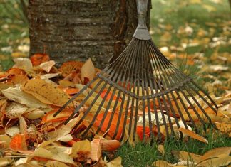 Anlieger müssen kehren: Bei der Stadt gibt es Laubsäcke. Foto: Symbolbild (pixabay)